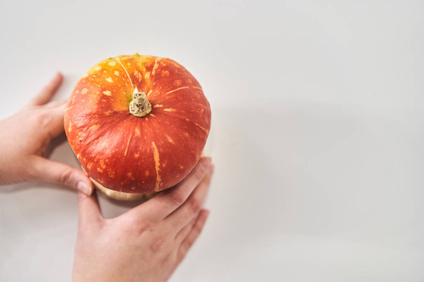 Mushroom-shaped decorative pumpkin  - Valokuva, kuva