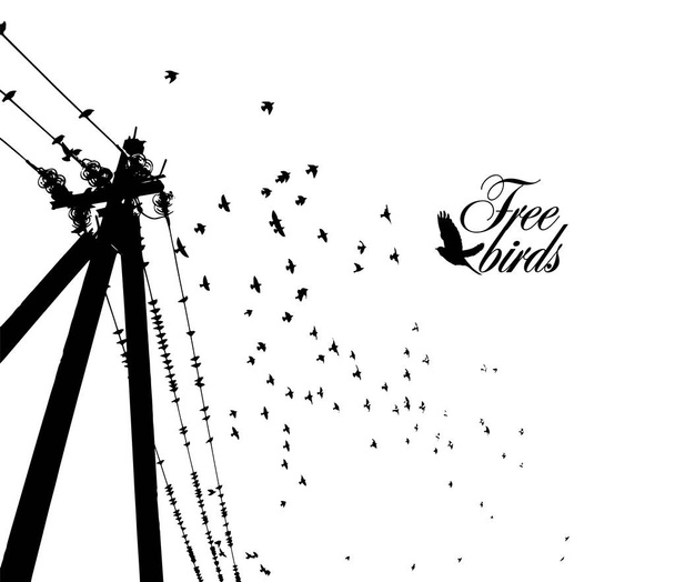 Birds on wires. Vector illustration - Vector, Image