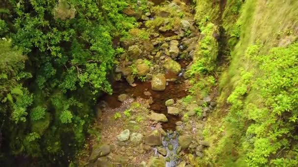 4K video joesta kivillä Madeiran saarella. Madeira levadas laakerinvihreässä metsässä. Se on kansallispuisto Portugalissa
. - Materiaali, video