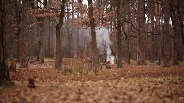 φθινόπωρο ξύλο και το αγόρι σε απόσταση με μια πυρκαγιά - Πλάνα, βίντεο