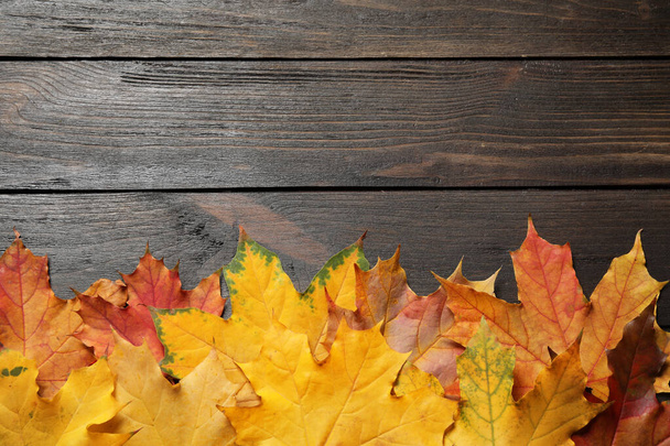 Beautiful autumn leaves and space for text on wooden background, - 写真・画像