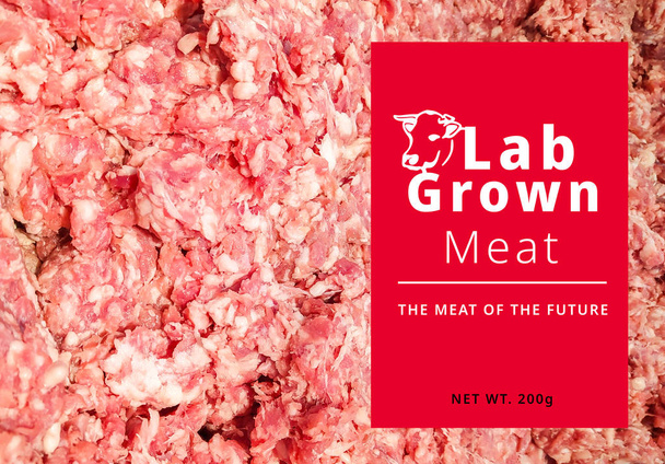 Käsitteellinen kuva keinotekoinen Lab kasvatettu liha, Viljelty liha
, - Valokuva, kuva