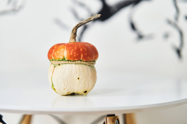 Mushroom-shaped decorative pumpkin  - Photo, Image