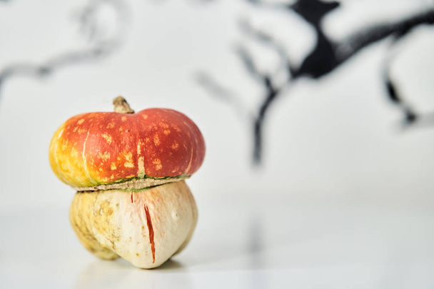 Calabaza decorativa en forma de hongo
  - Foto, imagen
