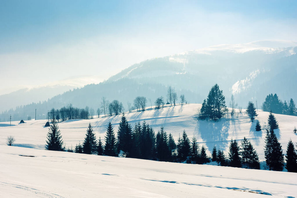 mountainous countryside in wintertime - Фото, зображення