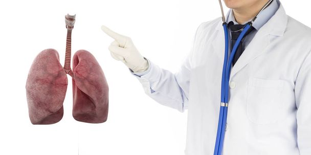 arts check respiratoire Long, longen ziekte, 3D concept - Foto, afbeelding