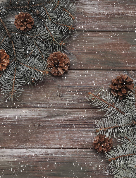 Christmas concept background. Pine on wooden background. - Photo, Image