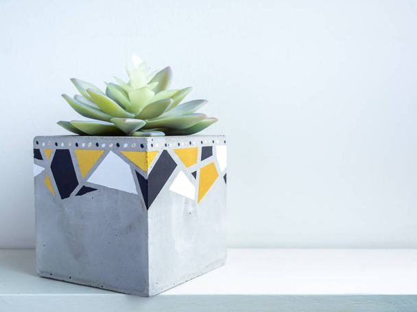 Cactus pot. Concrete pot. Modern geometric concrete planter. - Photo, Image