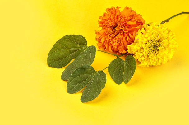 Indian Festival Dussehra, showing golden leaf (Bauhinia racemosa) and marigold flowers on a yellow background. - Photo, Image
