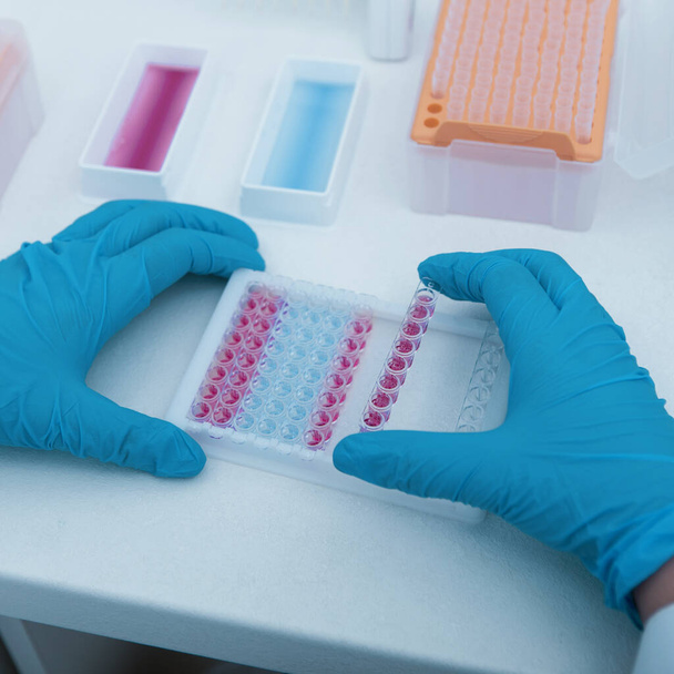 Ręce kobiety z kolorowymi próbkami do twardych badań - Zdjęcie, obraz