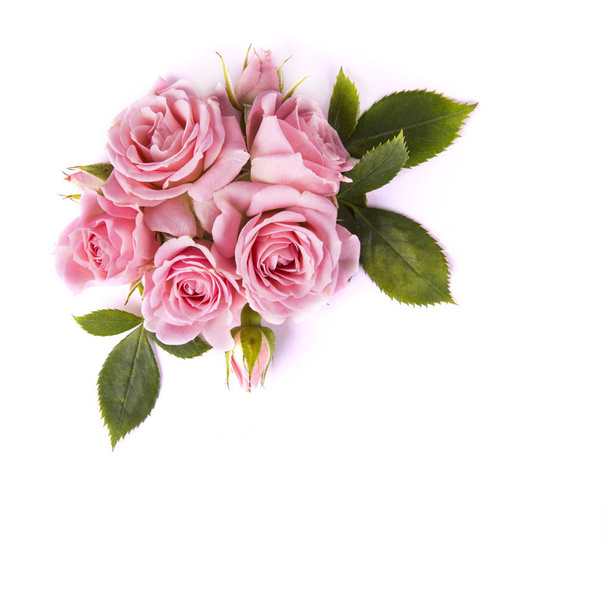Composition of roses on a white background - Fotografie, Obrázek