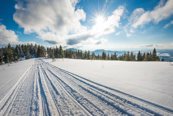 ATV and ski tracks in snow on frosty winter day - Zdjęcie, obraz
