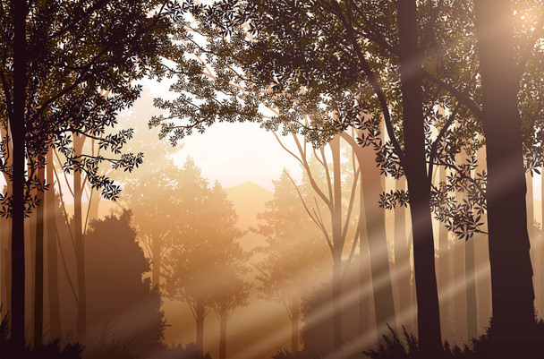 Свет из природного леса Джунгли зеленые горы горизонтальные деревья Пейзаж обои Восход и закат Иллюстрация векторный стиль Красочный вид фон
 - Вектор,изображение
