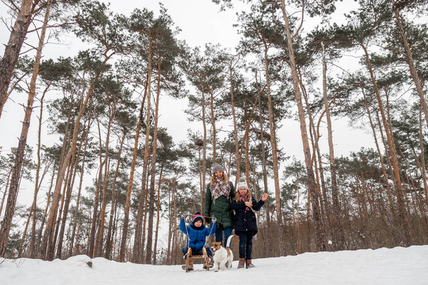 Emotional family winter photo shoot with Jack Russell. - Photo, Image