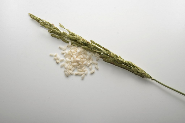 Una espiga de arroz con frijoles
 - Foto, Imagen