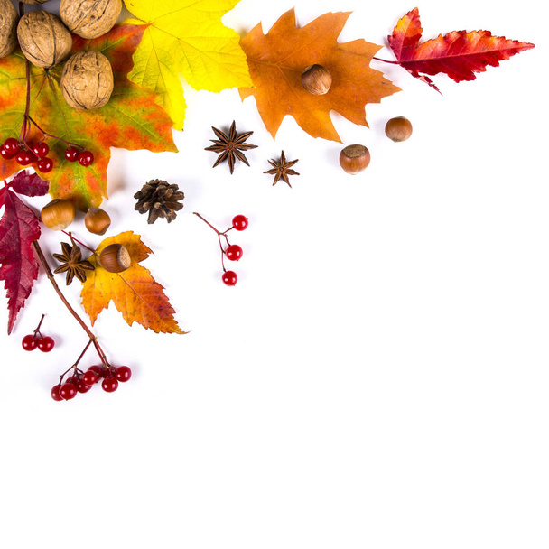 Autumn composition. Frame made of autumn leaves, acorn, pine con - Valokuva, kuva