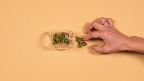 стеклянный банк со свежими бутонами марихуаны в руках мужчины. Fl
 - Фото, изображение