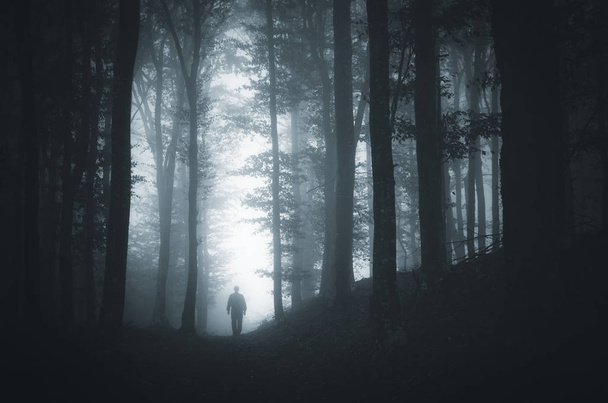 Noite de Halloween assustador paisagem surreal. Figura fantasma misteriosa em madeiras de fantasia
 - Foto, Imagem
