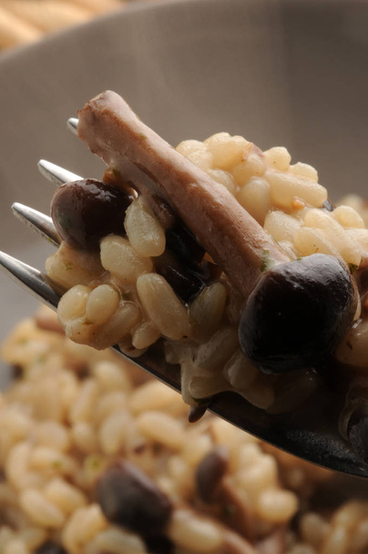 Risotto met populier champignons op de vork - Foto, afbeelding