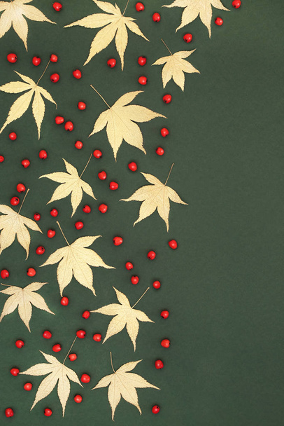 Caída japonesa de oro Acer hojas
 - Foto, imagen