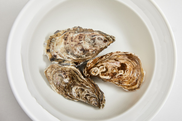 top view of bowl with water and oysters isolated on white  - Φωτογραφία, εικόνα