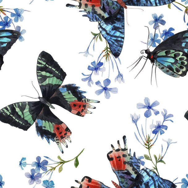 Beautiful vector watercolor colorful butterflies with gentle blue field flowers seamless pattern. Hand drawn artwork. Ready wallpaper or print. White background. - Vector, Image