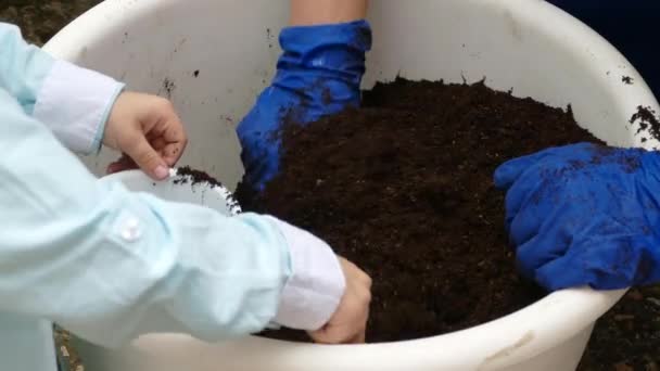 Vrouwen en kinderen handen raken de grond in een pot - Video