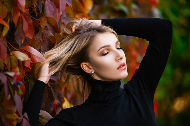 Attractive blonde posing in yellow and red leaves in autumn in the forest - Photo, Image