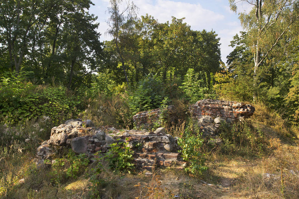 Ruins of Castle of Chelmno bishops at Castle mountain in Wabrzezno. Poland - Fotó, kép