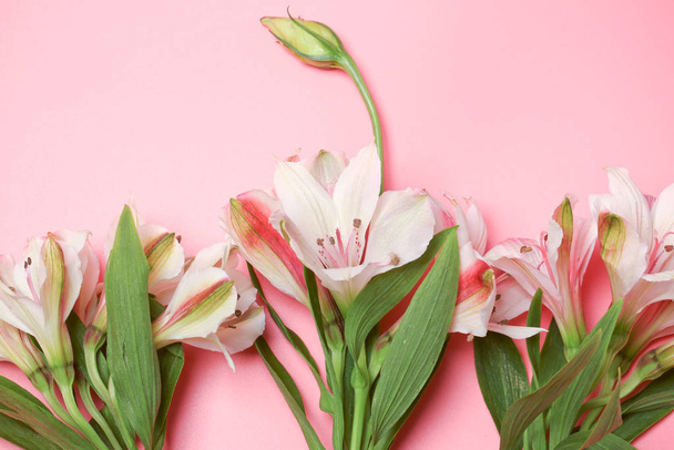 minimalistic concept lilies on a pink background - Foto, imagen