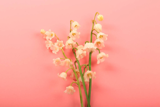 lilies of the valley on a pink background - Foto, Bild