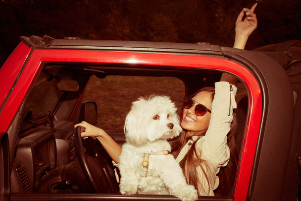 女の子と車の中で犬 - 写真・画像