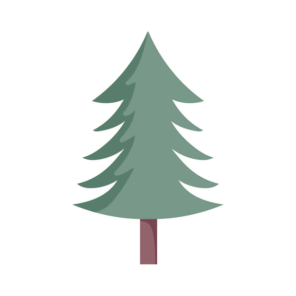 白い背景に松の木の葉植物 - ベクター画像