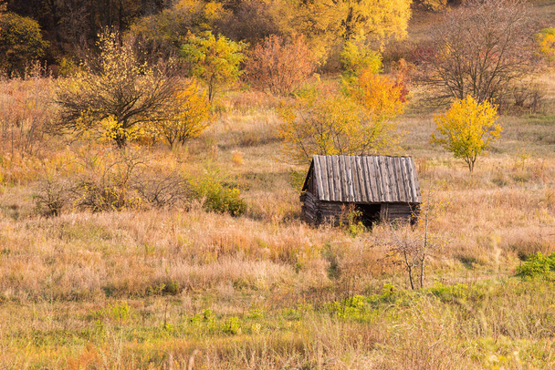 eine einsame kleine Hütte zwischen Bäumen. Holzhäuschen und Herbstpflanzen ringsum. Herbstlandschaft. - Foto, Bild