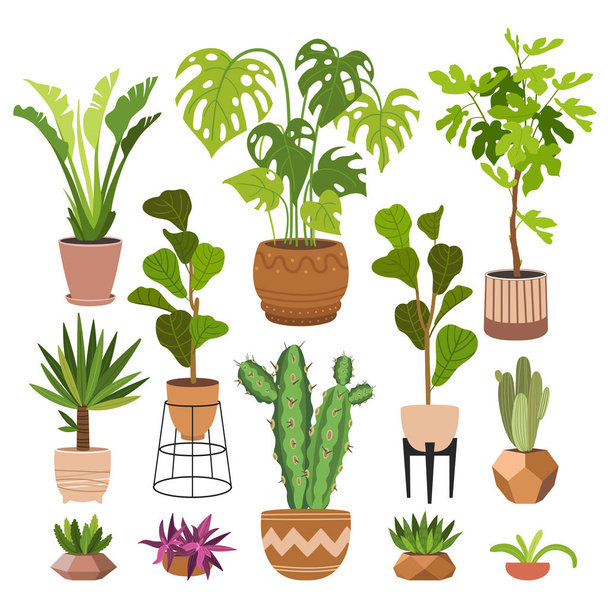 Indoor plants flat color illustrations set. Realistic houseplants in beige pot on metal stands. Exotic flowers with stems and leaves. Ficus, snake plant, sansevieria isolated botanical design element - Vektör, Görsel