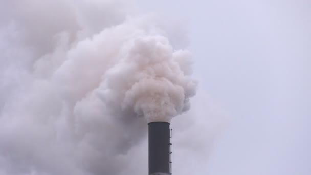 Luchtverontreiniging door rook uit de pijp. - Video