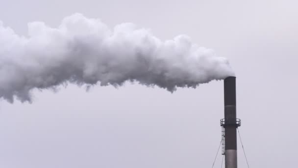 Rauch aus Fabrikschornstein. Luftverschmutzung. - Filmmaterial, Video