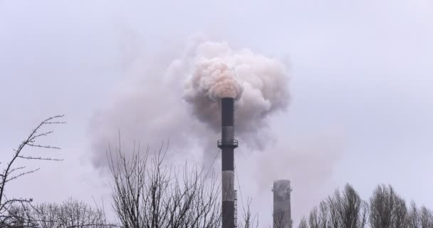 Εργοστάσιο σωλήνων με παχύ καπνό μέσα από τα δέντρα. - Πλάνα, βίντεο