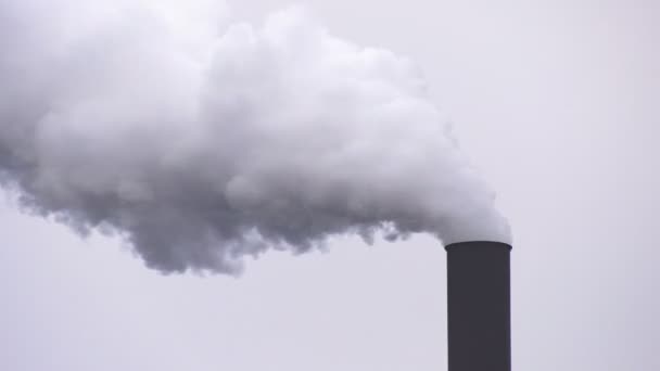 Luftverschmutzung. Rauch aus Fabrikschornstein. - Filmmaterial, Video