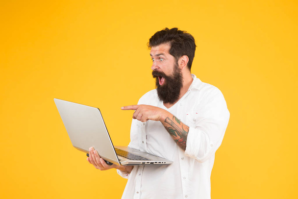 winning prize. In search of inspiration. Bearded man laptop yellow background. shopping online. Successful developer. education in digital world. Programming concept. brutal man surfing internet - Foto, imagen