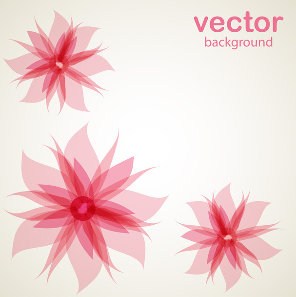 rózsaszín virágok - Vektor, kép