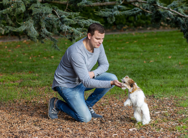Ο άνθρωπος δίνει εντολές σε ένα σκύλο, εκπαιδεύει ένα κουτάβι σε εξωτερικούς χώρους - Φωτογραφία, εικόνα
