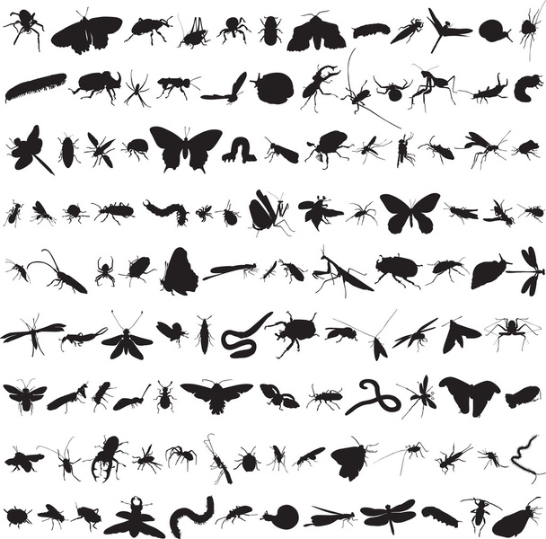 100 以上の昆虫のセット - ベクター画像