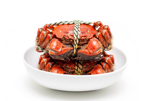 Cooked Chinese hairy crab isolated on white background - Zdjęcie, obraz
