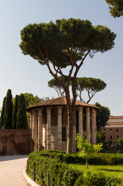 Rome - Vesta temple - Photo, image