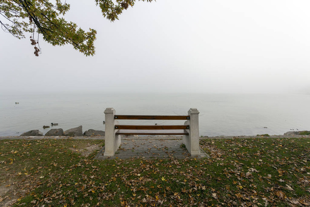Samotna ławka nad Balatonem - Zdjęcie, obraz