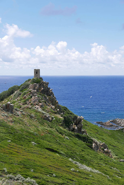 holidays on the island of beauty, in southern Corsica. - Φωτογραφία, εικόνα