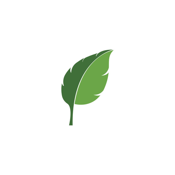Zöld levél ökológia természet elem - Vektor, kép
