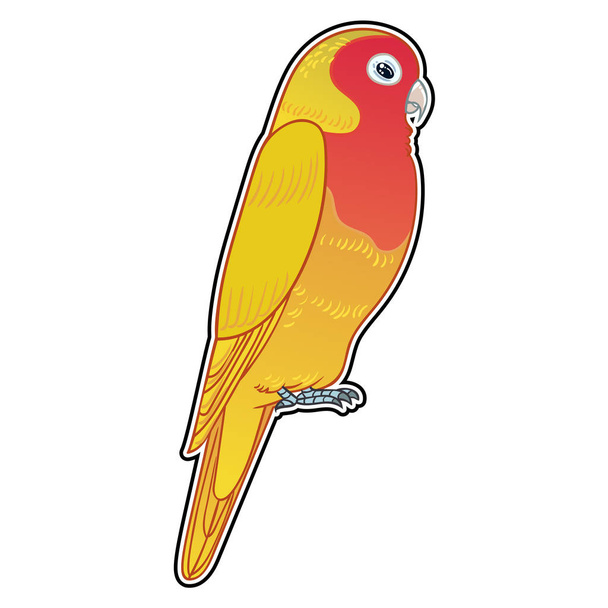 Beautiful tropical exotic parrot bird. Vector illustration. - Фото, изображение