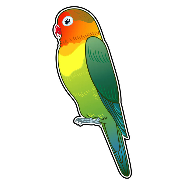 Beautiful tropical exotic parrot bird. Vector illustration. - Fotó, kép